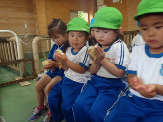 P4230242.JPG