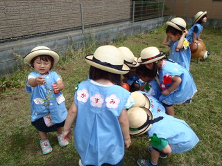 P5310703.JPG
