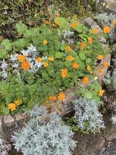 IMG_0449.jpg