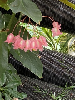IMG_0462.jpg