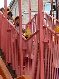 IMG_1355 (2).jpg