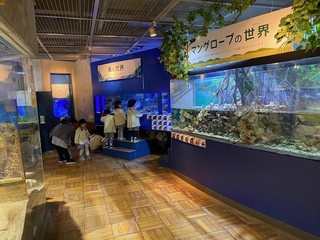 IMG_2125.jpg