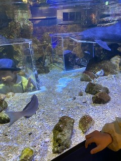 IMG_2130.jpg