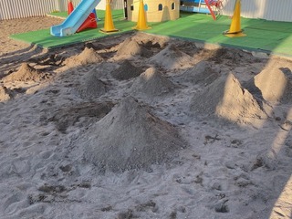 IMG_2134.jpg