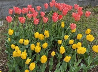 IMG_2189.jpg