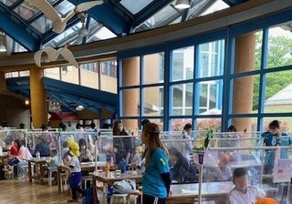 IMG_2252.jpg