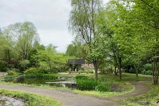 IMG_2275.jpg