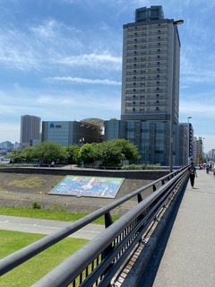 IMG_2450.jpg