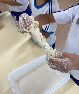 IMG_2578.jpg