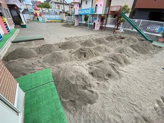 IMG_2605.jpg