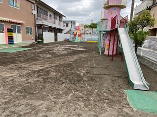 IMG_2608.jpg