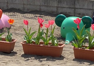 IMG_3304.jpg