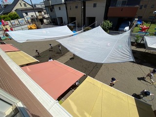 IMG_3480.jpg