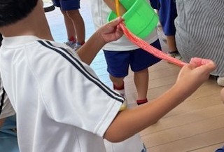 IMG_3728.jpg