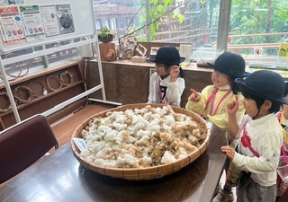 IMG_5755.JPG