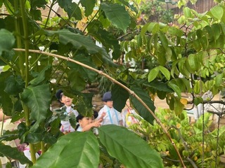 IMG_5756.JPG
