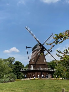 image4.jpeg